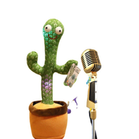 Cactus dansant, classique, vente en gros, cactus magique, nouveauté