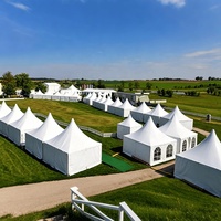 Tente Pagode Robuste en Aluminium et PVC Transparent, Imperméable et Résistante au Vent, pour Mariages, Expositions, Marchés et Événements Corporatifs