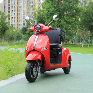 Tricycle électrique 60V, autonomie 50 km, moteurs double moyeu, carrosserie ouverte avec auvent de pluie pour adultes - Product Image 4