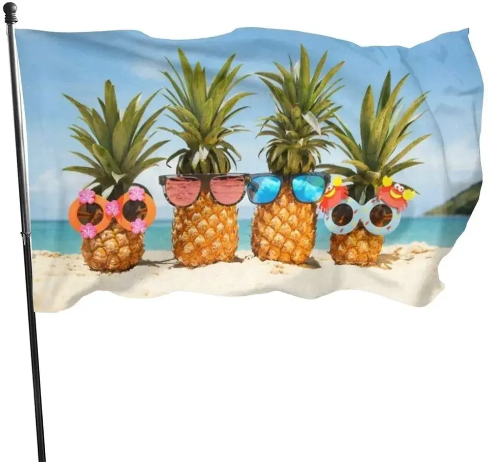 Huiyi scelta di qualità 3 x5ft bandiere di ananas impermeabile bandiera del paese straniero foto la migliore bandiera da spiaggia estiva all'aperto
