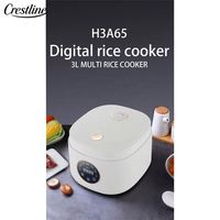 Mini cuiseur à riz électrique Nouveau style Revêtement céramique numérique Pot intérieur Appareil ménager multifonction avec boîtier en plastique
