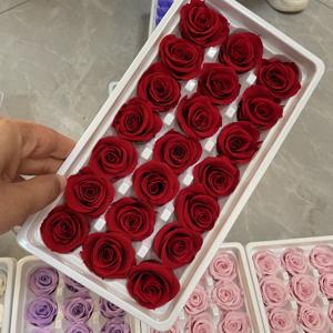 Rosa Eterna Preservada, 21 Piezas al por Mayor, Rosas Eternas de Grado A, 2-3 cm, Rosa Preservada de Tacto Real - Product Image 4