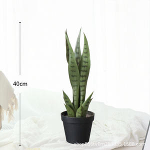 Plantas suculentas en maceta personalizables bonsái serpiente Planta artificial <span class=keywords><strong>Sansevieria</strong></span> jardín planta vegetación - Product Image 5