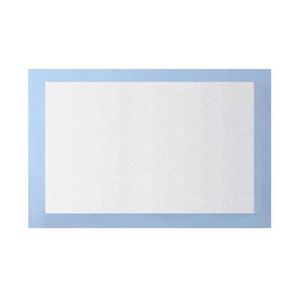 High Quality 100 Pcs Premium Dog and Pets Urine Pads <b>Cat</b> Dog Cleaning Supply Puppy Training Pads for Home Dogs - Product Image 4