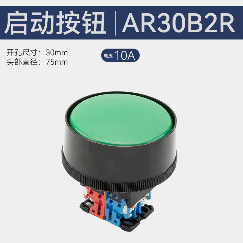 Grosse tête de Fuji domestique