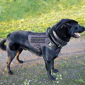 <span class=keywords><strong>Harness</strong></span> Anjing Outdoor dengan Gesper Logam, Dapat Disesuaikan, Tanpa Tarikan, Klip Depan, Kompatibel Molle, untuk Anjing Sedang dan Besar - Product Image 2
