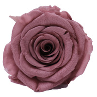 Têtes de roses fraîches préservées de 4 cm, très demandées, fleurs véritables sans additifs, couleur personnalisable pour l'artisanat DIY et les décorations de Noël