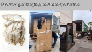 חטיף דגים קלופים ללא תוספים, ספציפי למשפחות עם מספר חיות מחמד, חטיף דגים אוניברסלי לחיות מחמד - Product Image 5