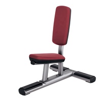 Offre Spéciale : Banc d'entraînement multifonctionnel en acier pour musculation, haltères et press d'épaules – Idéal pour la musculation et le fitness