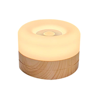Mini lampe de nuit à détecteur de mouvement en bois, LED rechargeable, lampe de chevet, lumière chaude, lampe de placard, lampe d'escalier