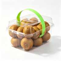 Boîte d'emballage en plastique PET transparent avec poignée pour tomates cerises fraîches et légumes, conteneur à fruits jetable