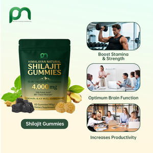 Gummies à l'extrait de résine de Shilajit de l'Himalaya, marque privée OEM, pour l'énergie et le soutien immunitaire des adultes, la mémoire cérébrale - Product Image 3