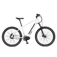 Acheter vélo électrique/E-bike VTT 29 pouces Mid Motor/e-vtt vélo exporté vers le marché USA Canada