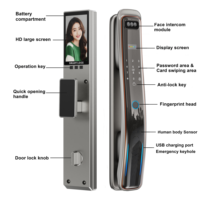 Serrure de porte intelligente TUYA3D avec reconnaissance faciale, code, empreinte digitale, interphone vidéo, WiFi et caméra de surveillance pour porte en acier, carte mémoire