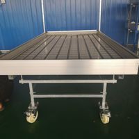 חקלאות משתלה עמוק מים תרבות הידרופוניקה מערכת הידרופוני לגדול מיטה