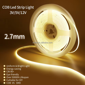 <span class=keywords><strong>2</strong></span>.7mm超薄型赤色COB LEDストリップライト 480LEDs/m フレキシブルリニアライト 部屋の装飾 コンピューター 車 5V ROHS リモコン付き - Product Image 3