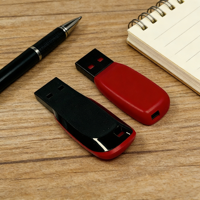 Penjualan Langsung Pabrik Kotak Flash Drive USB Plastik Portabel, USB Drive Kustom, Hadiah Bisnis.