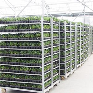 דנית בעלת ארבעה גלגלים פרחונית עיצוב חממות עגלה cc מיכל מותאם אישית עבור צמח משלוח גפנים - Product Image 3