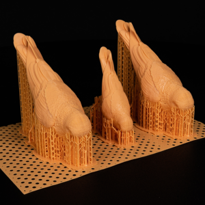 Stampante Lcd resina Foto 8.9S Lcd 3d stampante per gioielli fusione dentale - Product Image 6