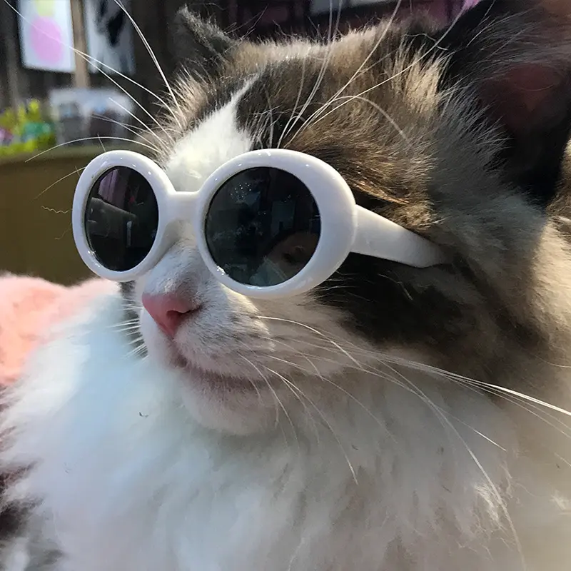 แว่นตาสุนัขสัตว์เลี้ยงแบบพับเก็บได้แว่นตาแฟชั่นป้องกันรังสี UV สำหรับแมว
