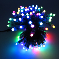 Bande lumineuse LED flexible RGB programmable 12V WS2811 100 LED, étanche, pour éclairage paysager et domestique
