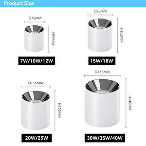 Lámpara LED de Techo, 20W, Redonda, Colgante, Suspensión, COB, Foco LED, Iluminación Interior para Hogar y Hotel - Product Image 5