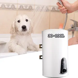 220v bathroom 50l 100l low price bathroom electric shower electric water heaters for shower