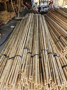 Piquets de soutien pour plantes en bambou robuste, canne naturelle de Tonkin pour pépinière, agriculture, ferme, jardin, vente en gros - Product Image 3