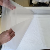 Film souple translucide en PE certifié ISO9001, résistant à l'humidité et aux produits chimiques, recyclable, moulé par soufflage, 10 x 20 pieds, pour