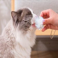 Bola Kertas Berbunyi untuk Kucing, Tahan Air, Penggunaan Dalam Ruangan, Penghilang Kebosanan, Grosir, Hiburan Anak Kucing, Mainan Hewan Peliharaan Plastik Warna-warni
