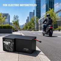 Shizun 72V 54Ah LiFePO4 Battery Pack 3000 Cycles for Electric Motorcycle 72V Ebike Battery Lithium Iron Phosphate Factory