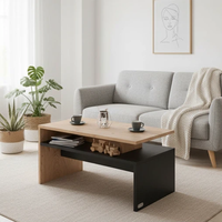 Table basse en bois avec espace de rangement, 95 x 55 x 50 cm, mobilier de salon, table à thé, table d'appoint pour canapé - Vente chaude directe usine