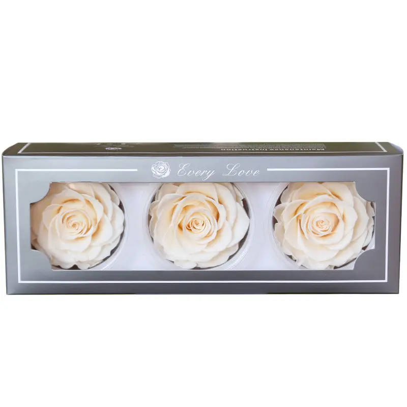 AYOYO OEM Wholesale Popular Color Forever Roses Red Preserved Roses long Lasting many years
