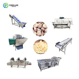 Macchina per Schiacciare, Miscelare e Confezionare l'Aglio in Acciaio Inox di Grado Alimentare, Linea di Produzione Pasta d'Aglio - Product Image 4