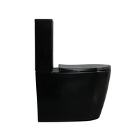 WC à chasse d'eau de style chinois, cuvette en céramique noire, toilettes en porcelaine, toilettes en deux pièces pour salle de bain, hôtel