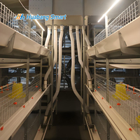 Système de cages automatiques de type H pour poulets de chair en élevage avicole avec équipement d'évacuation du fumier pour l'élevage à haute densité Huabang