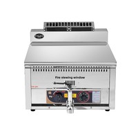 Freidora Industrial de Acero Inoxidable BAODING BDH-17L de 17L para Gas LPG/LNG, 26kg, 1 Año de Garantía, Temperatura Constante, para Pollo Frito