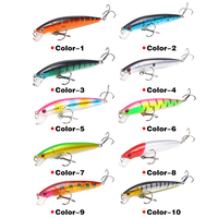 Leurre de Pêche Dur de 10 cm / 9 g, Flottant, Type Minnow, Appât Artificiel pour la Pêche en Mer et la Pêche au Bar