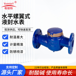 YueMeiTe Horizontal Screw Type Liquid Seal Water Meter Cast Iron Flanged DN15 Multi Jet Meters - Product Image 5
