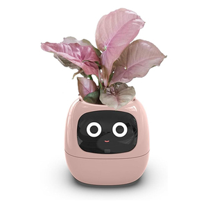 Pot de fleurs intelligent Mimi pour la maison moderne, avec capteur IA, interaction faciale, application, animal de compagnie numérique, auto-arrosage, petit pot de fleurs - Product Image 1
