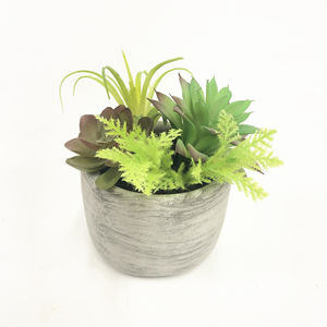 Planta Suculenta Artificial de <span class=keywords><strong>Echeveria</strong></span> Verde Realista y Grande, Hecha de Material PE, para Decoración de Jardín y Ocasiones como Pascua - Product Image 3