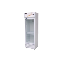 Congélateur Vertical d'Exposition Commercial avec Porte Vitrée à Température Unique, Réfrigérateur à Boissons 1 Porte pour Supermarché