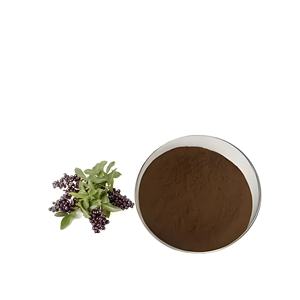 天然Ligustrum Lucidumエキスフルーツ<span class=keywords><strong>Ilex</strong></span>エキスLigustrum Lucidumエキス伝統的な健康食品 - Product Image 2