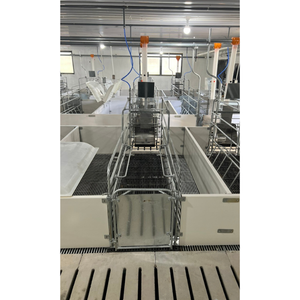 Equipo Personalizable para Cría de Animales, Jaulas de Parto Galvanizadas en Caliente, Precio Competitivo, Cerdos Usados - Product Image 4