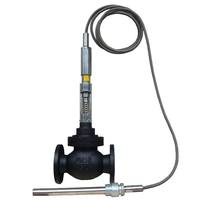 Vanne de régulation de température à vapeur autonome ZZWP Chine DN20-DN100 pour usage industriel