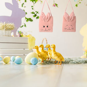 Cubos de Pascua con Orejas de conejo largas y suaves al por mayor, almacenamiento de dulces bonitos para regalo, embalaje portátil, cestas de Pascua de felpa, decoraciones para fiestas - Product Image 4