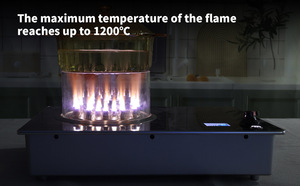 <span class=keywords><strong>เตา</strong></span><span class=keywords><strong>ไฟฟ้า</strong></span> WABK Wanba แบบฝัง ใช้ไฟฟ้า 110V มาตรฐานยุโรป ผลิตจากเซรามิก<span class=keywords><strong>แม่เหล็ก</strong></span> ไม่มีหัว<span class=keywords><strong>เตา</strong></span> - Product Image 5