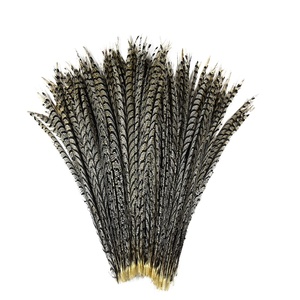 Plumas Naturales Marrones de Cola Larga, <span class=keywords><strong>Pluma</strong></span> Artificial de Faisán para Fiestas, Carnaval, Decoración del Hogar, Bodas, Jarrones, Manualidades, Disfraces - Product Image 6