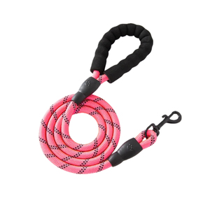 Laisse pour chien en nylon tressé robuste, multicolores, avec bandes réfléchissantes réglables, tendance et très vendue - Product Image 4