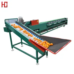 Automatic tomato sorting equipment / counting fruit selecting classifying machine for kiwifruit orange avocado